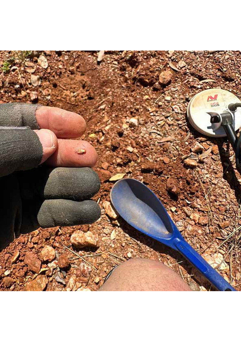 Minelab Gold Monster 2000 - Detectorist Direct